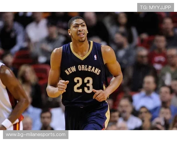 _鹈鹕潜力无限，逐步逼近排行榜前列_，鹈鹕科普