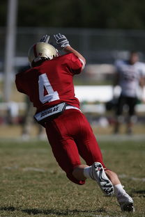 ac米兰足球官网-全国青少年跳水大赛首次启用AI裁判辅助,青少年跳水比赛视频